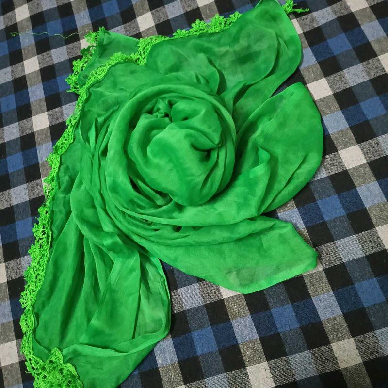 Chiffon Duppata with lace detailing