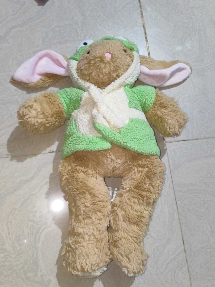 Build a Bear Rabbit with clothes