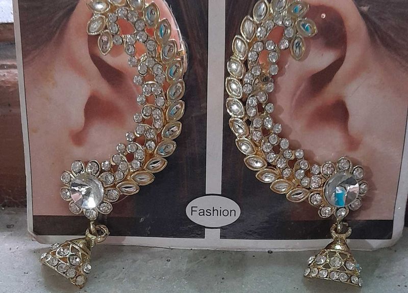 Exquisite Dangle Earrings