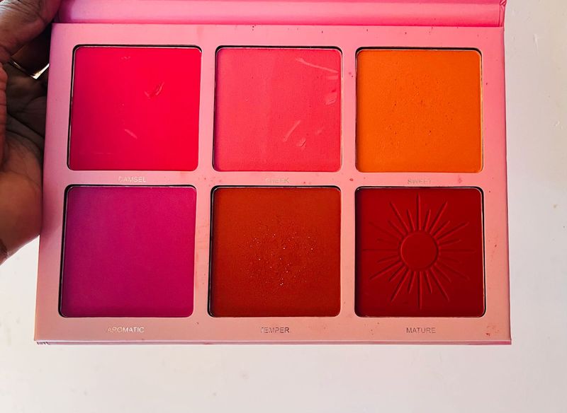 Blush Palette - Vibrant Shades