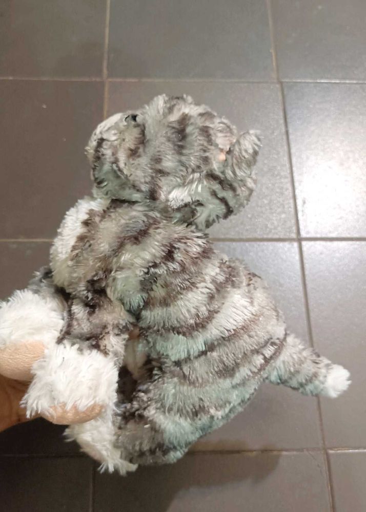 Plush Cat Toy