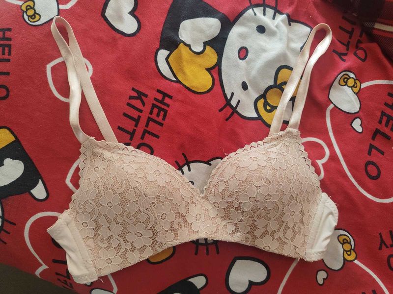 Delicate Lace Bra