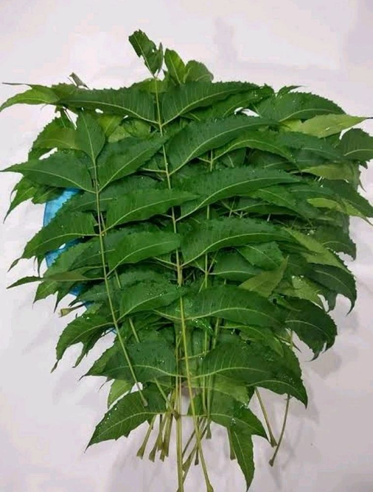 250gm Dry Nim Leaves