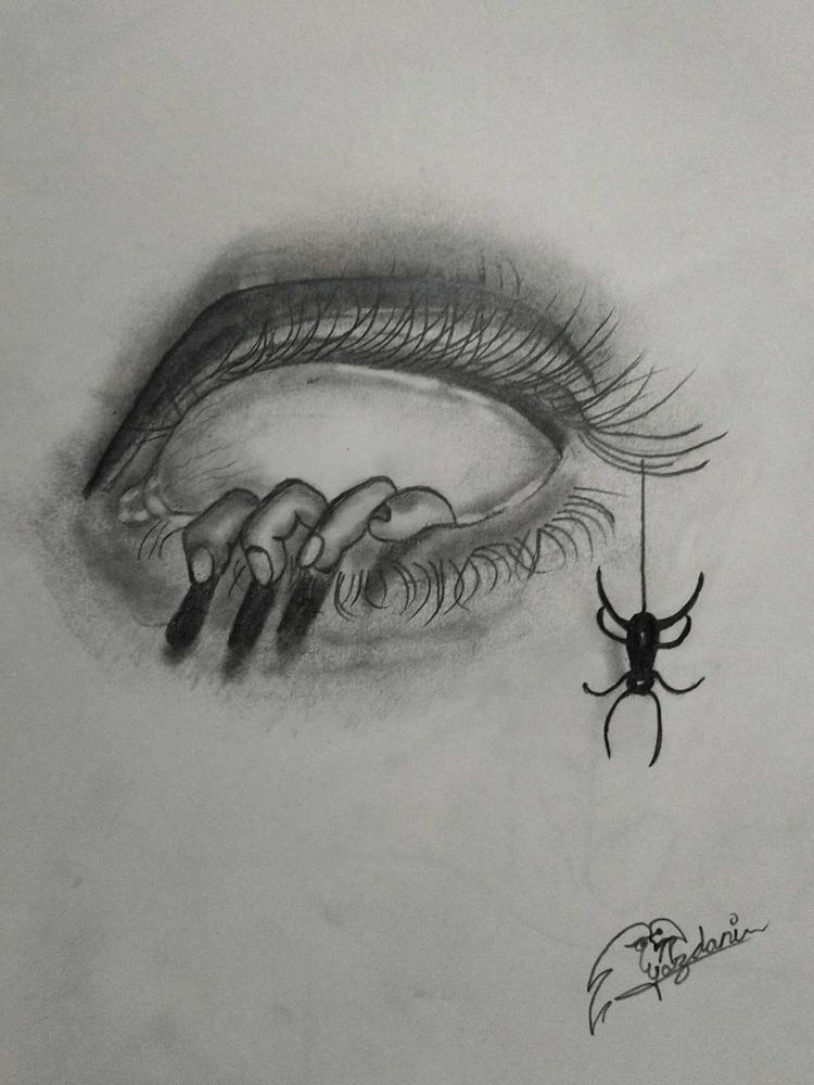 Surreal Eye and Spider Sketch
