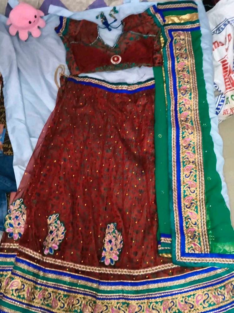 Designer Lehenga Choli Set