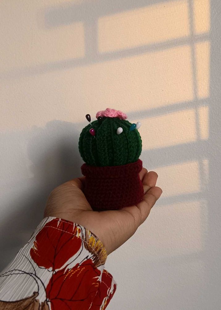 crochet cactus 🌵🌸