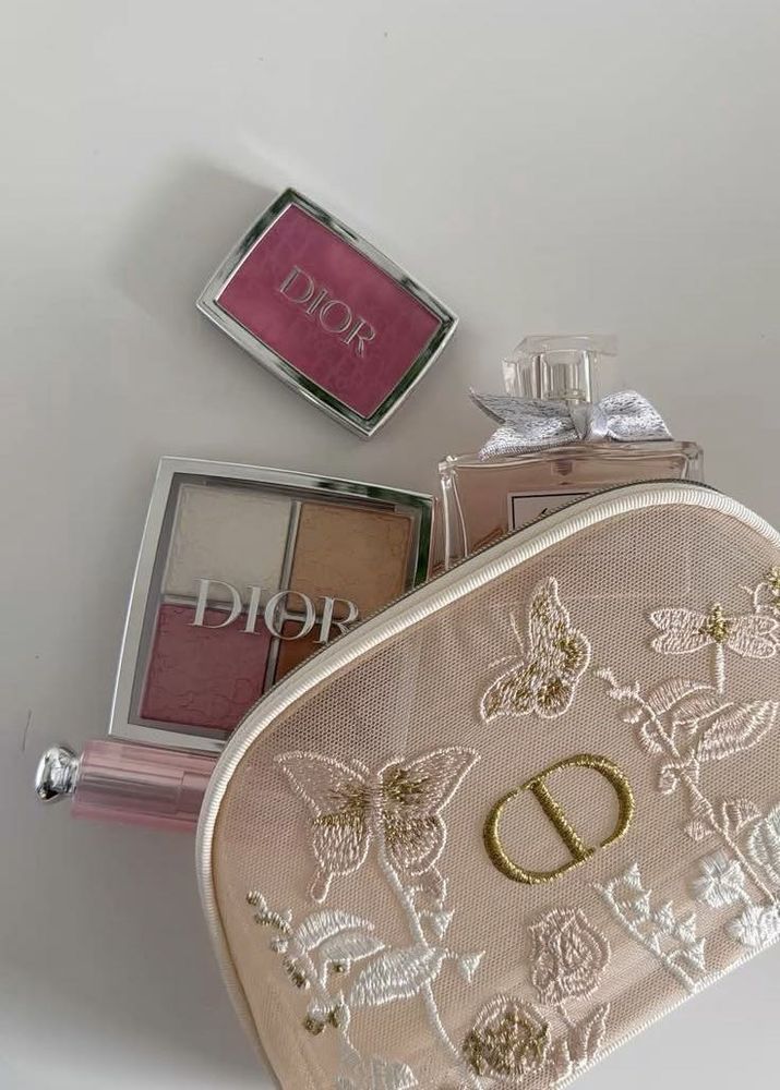 Dior Butterfly Embroidered Mesh Pouch