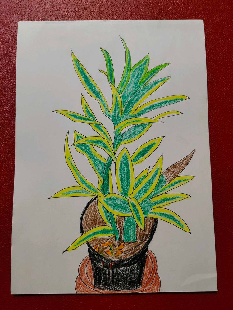 Soothing Plant Modern Art