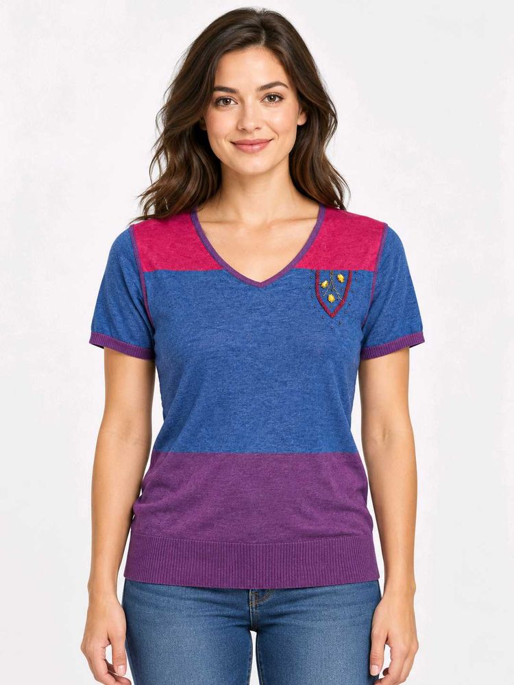 Colorblock V-Neck Top with Emblem