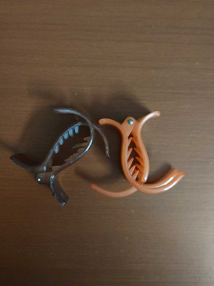 Set of 2 Hair Claw Clips