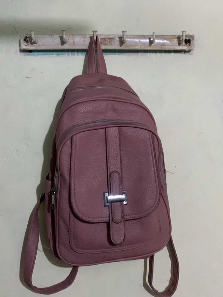 Chic Dusty Rose Backpack