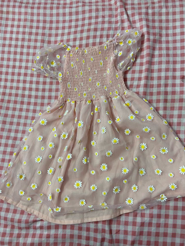 Cute Daisy Mesh Dress