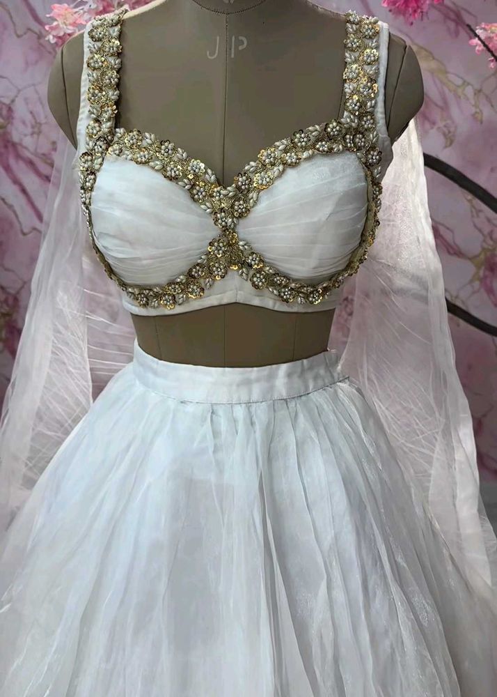 Elegant Embellished Lehenga Choli