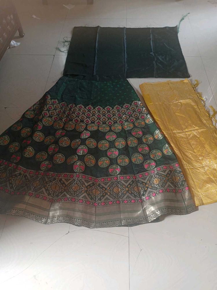 Elegant Green Lehenga Choli Set