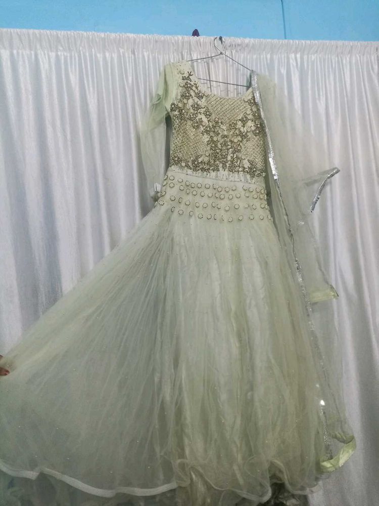 Elegant Embellished Ethnic Gown