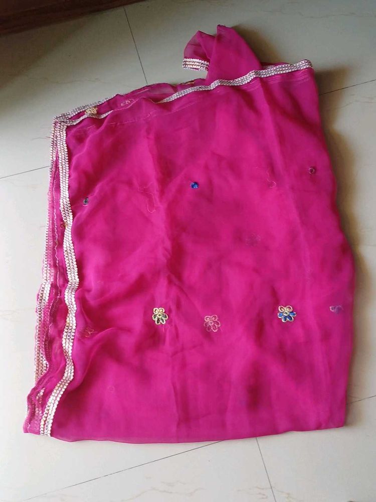 NEW RAJPUTI ODNA