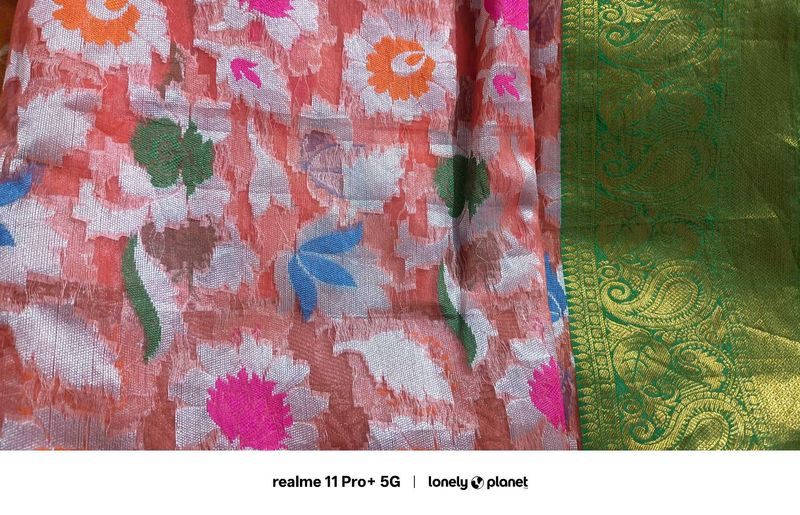 Elegant Floral Pattern  brasso saree