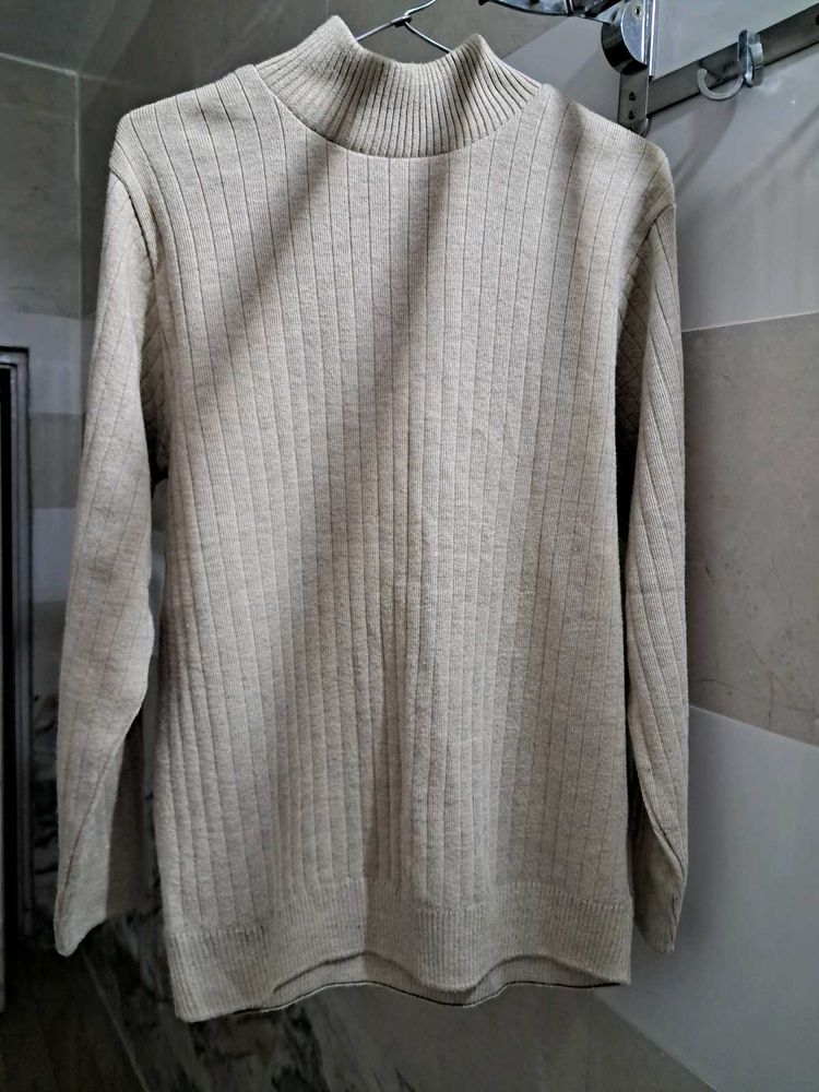Turtle/High Neck Sweater
