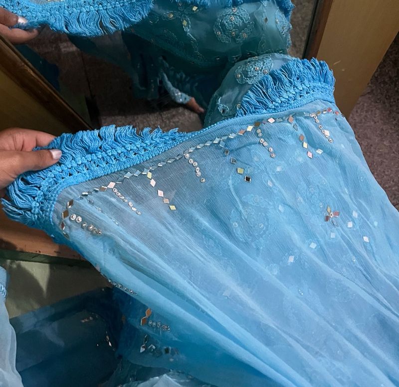 Sky Blue Chikankari Kurta Set
