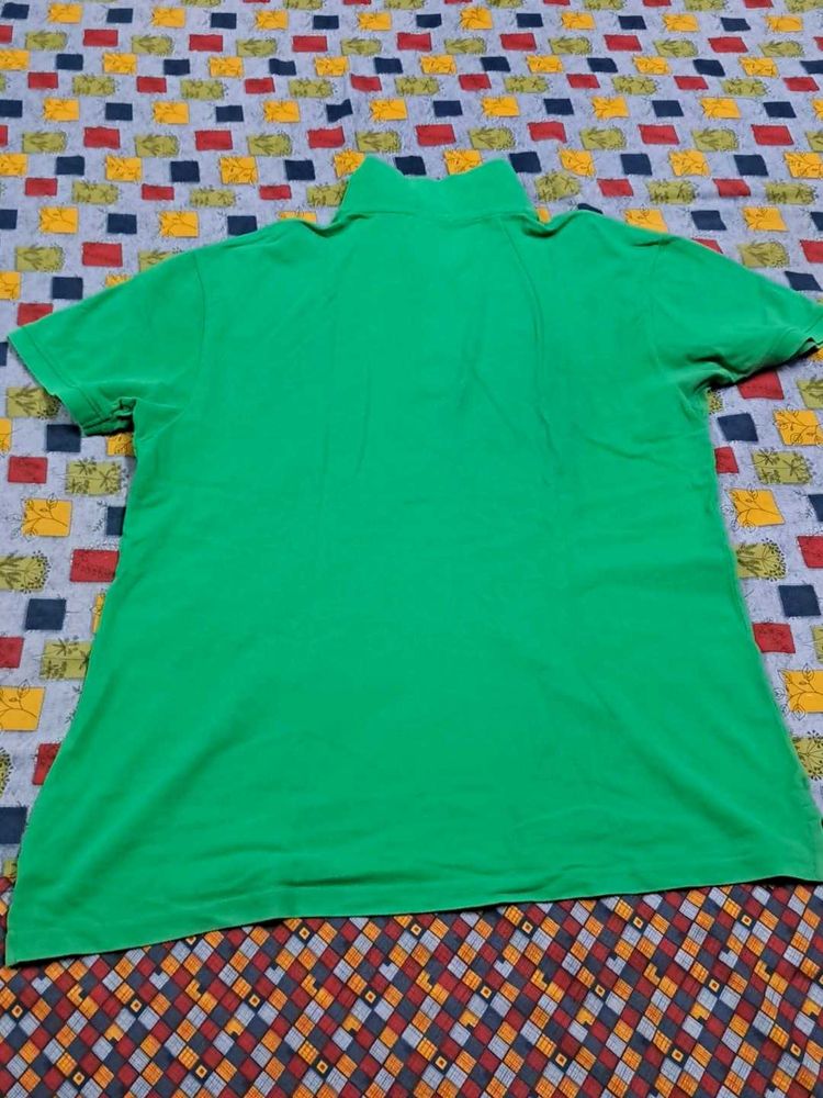 Green Polo Shirt