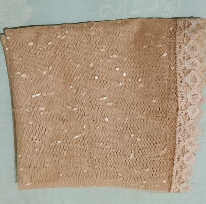 Elegant Net Dupatta with Lace Trim