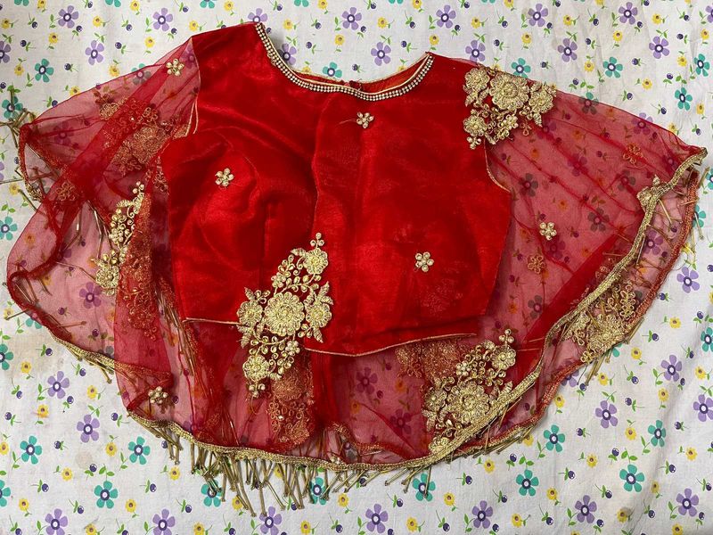 Red &amp; Gold Embroidered Palchu
