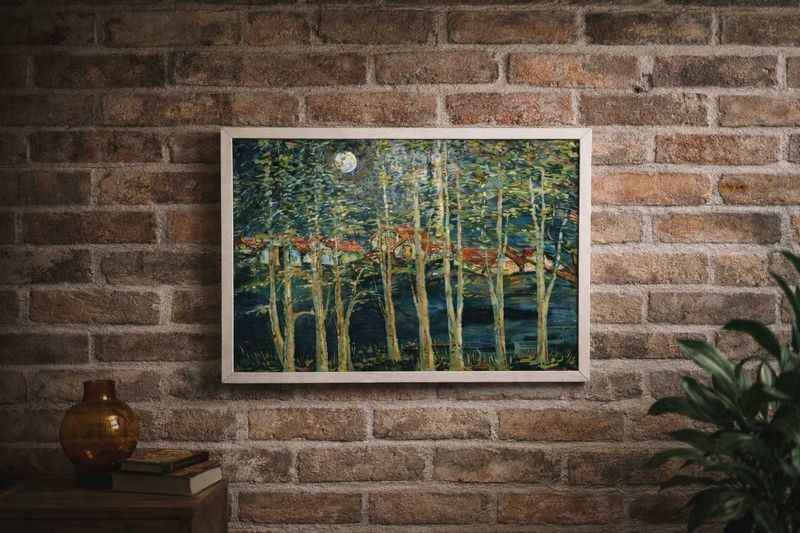 Exquisite Painting framed