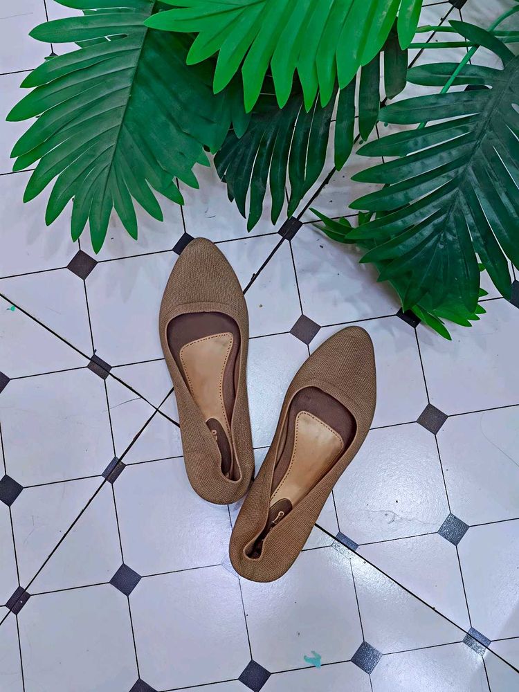 Elegant Brown Ballet Flats