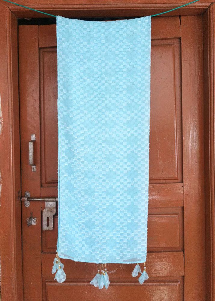 Light Blue Embroidered Dupatta