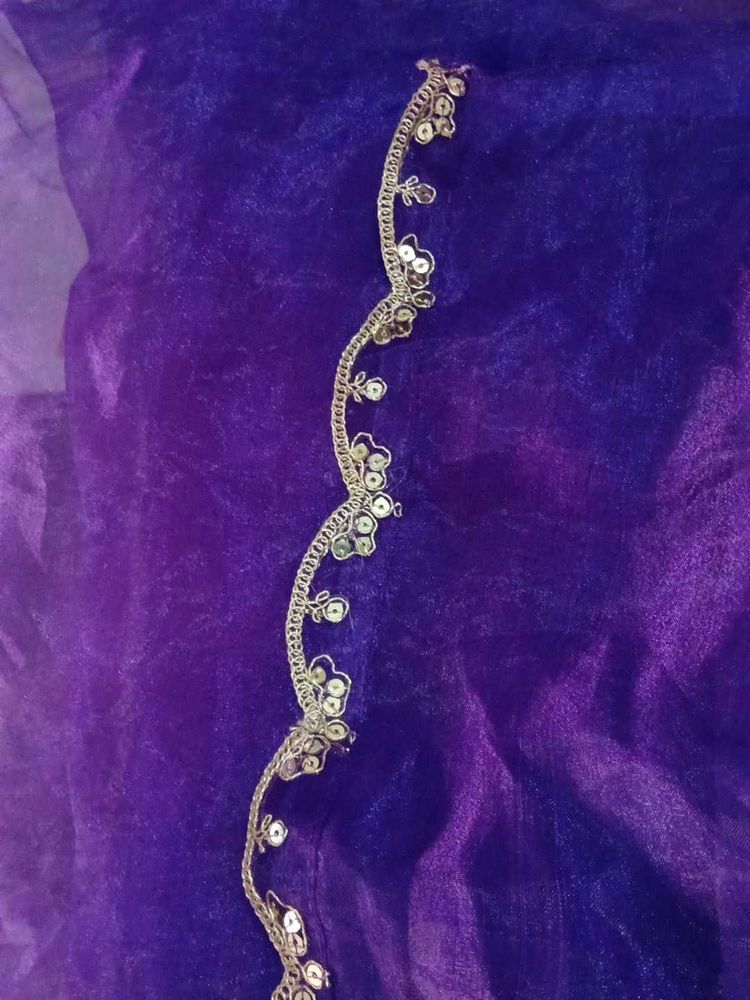 Embellished Dupatta Border