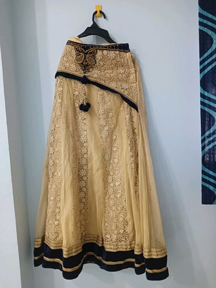 Elegant Embroidered Lehenga Skirt
