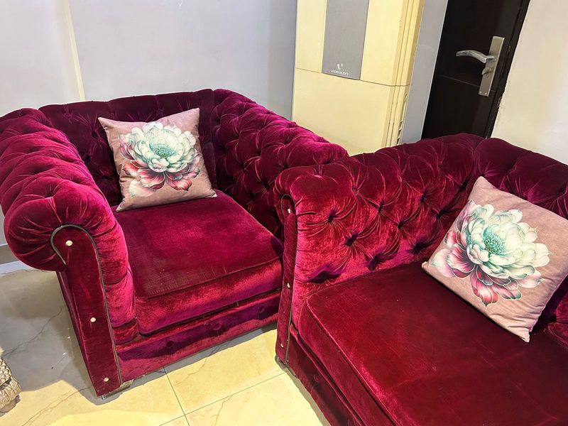 Luxurious Chesterfield Velvet Armchair (1)