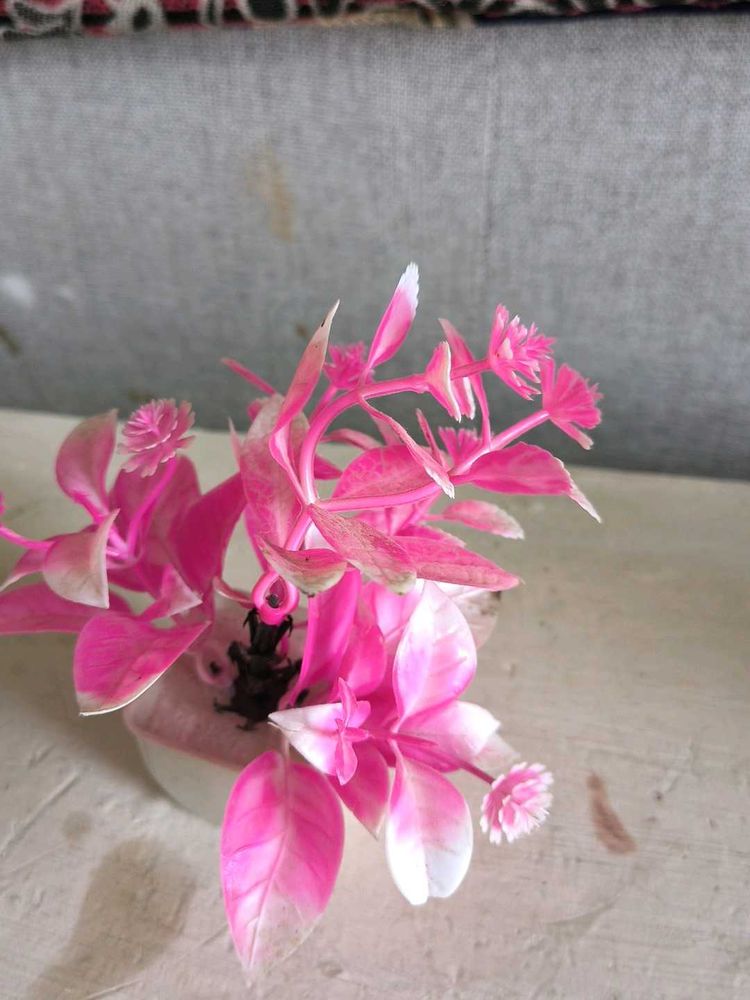 Vibrant Pink Artificial Plant