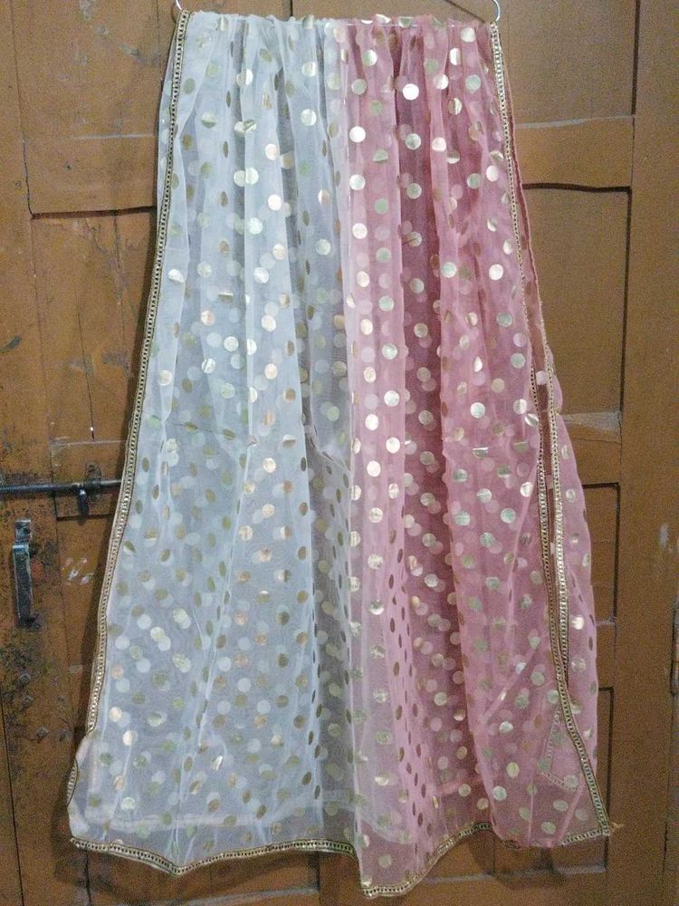 Polka Dot Dupatta