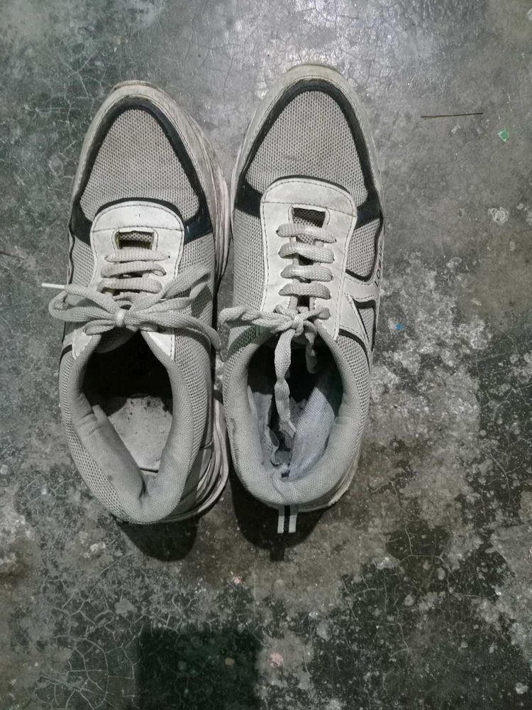 Sport Shoes