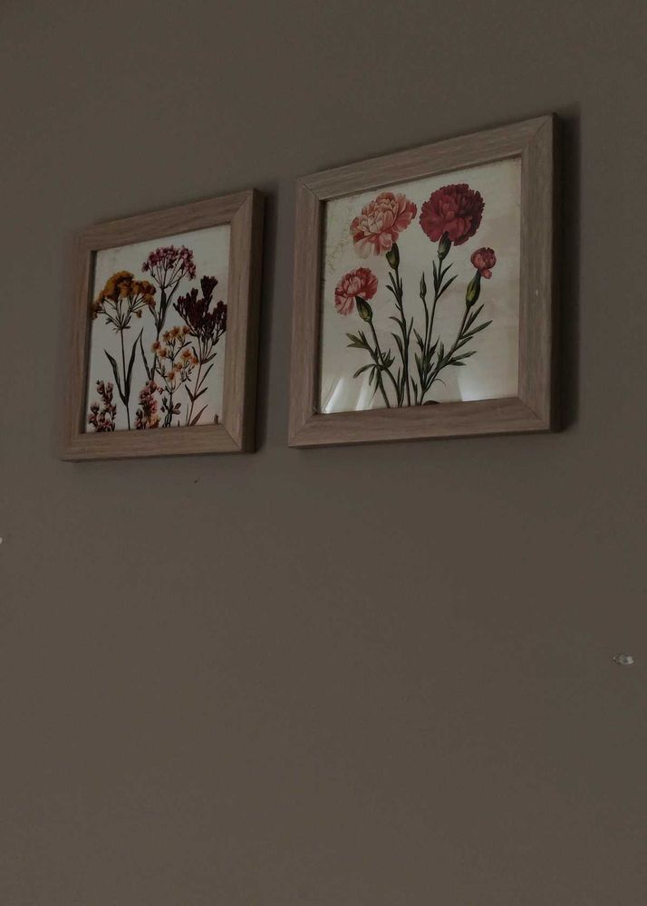 Set of 2 Botanical Framed Prints
