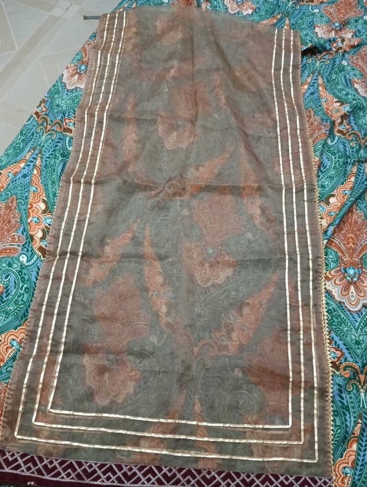 Elegant gotapatti border dupatta