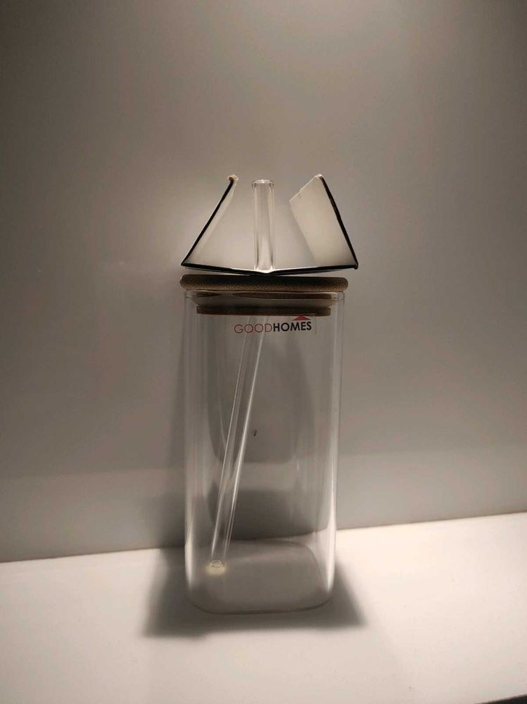 Pinteresty  Glass  Sipper With Straw