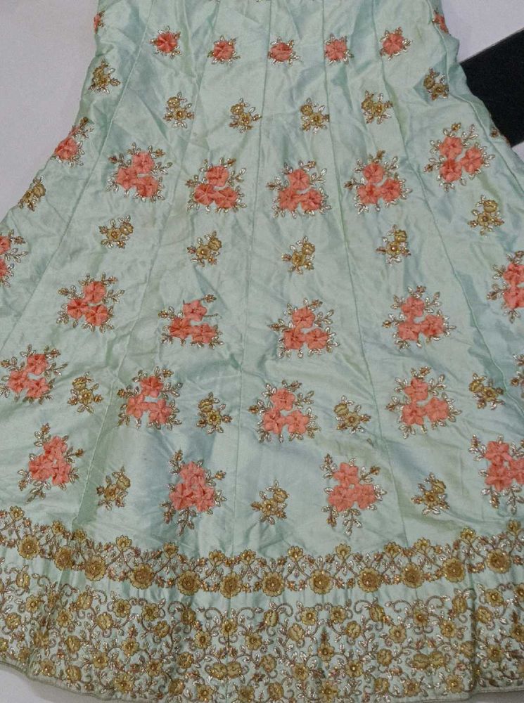 Elegant Lehenga Choli