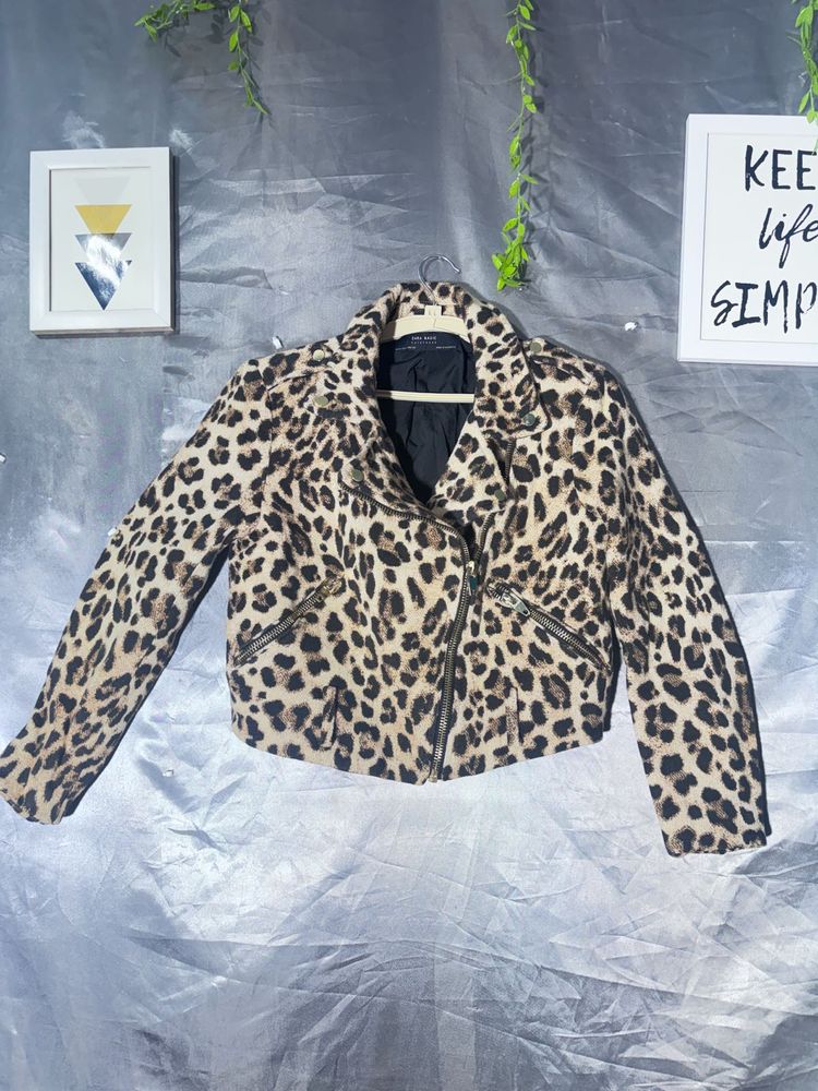 ZARA Leopard Print Moto Jacket