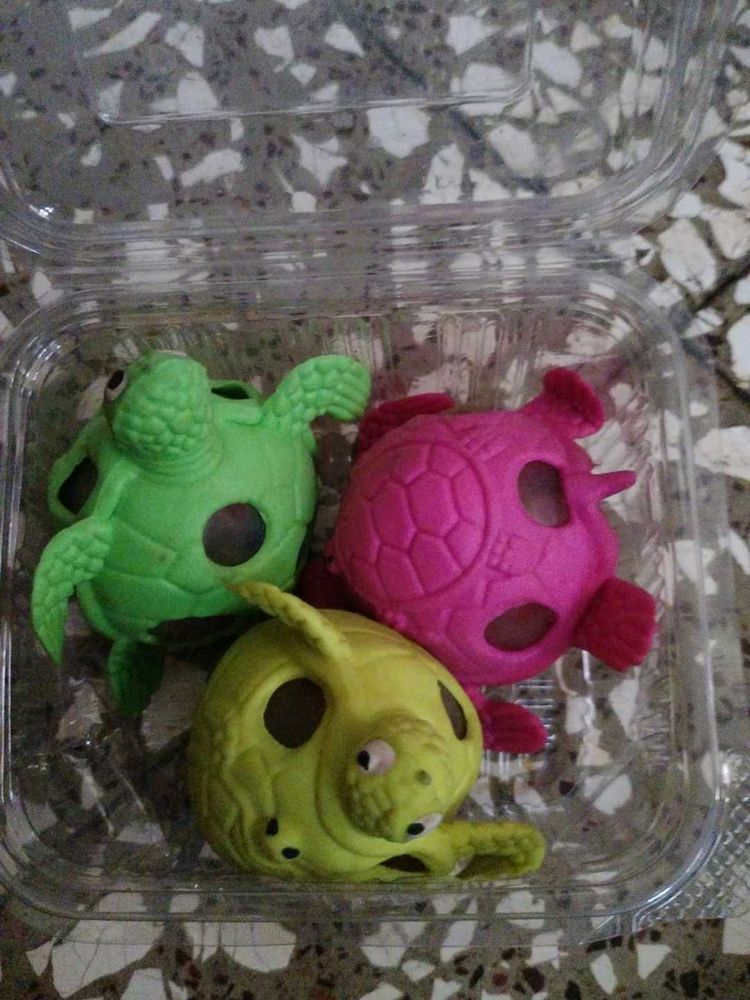 Cute Turtle Squeeze Toys 3
