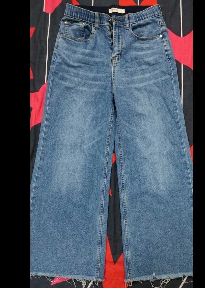 Light Wash Blue Stretchable Ankle Length denim