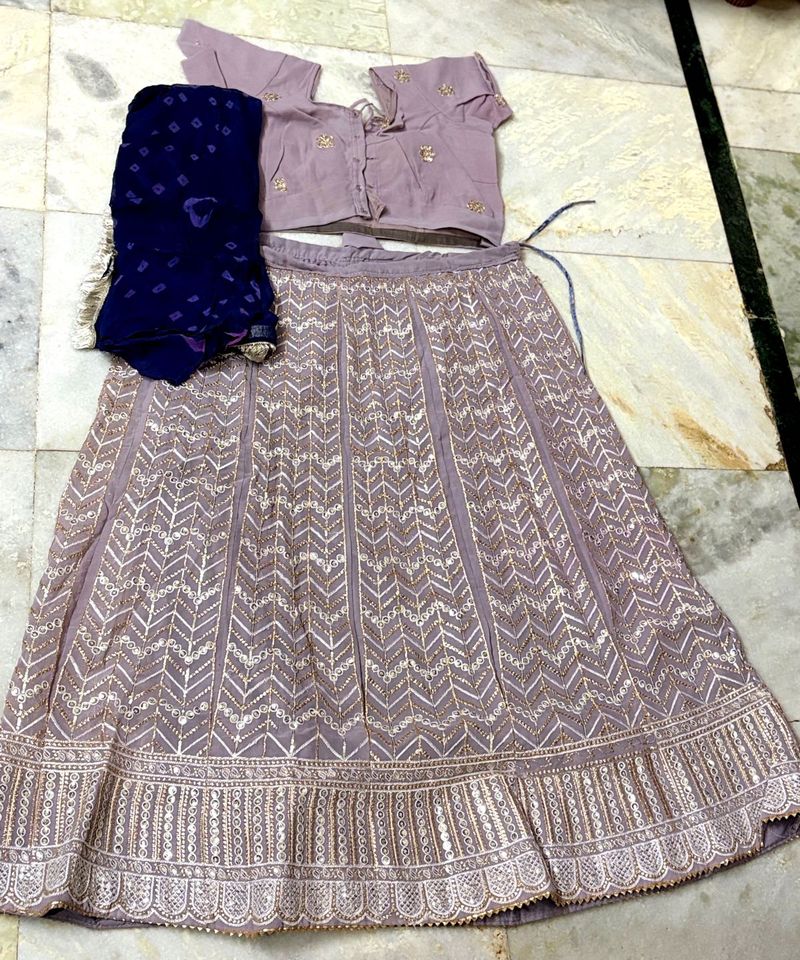 Embroidered Lehenga Choli Set
