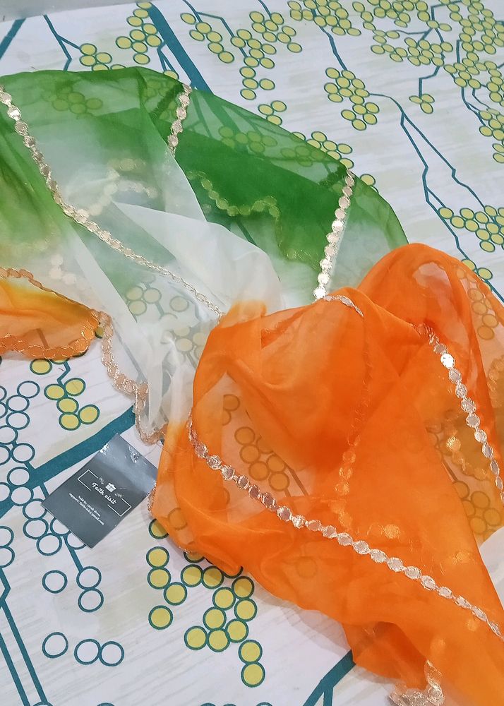 Tricolor Cutwork Organza Dupatta