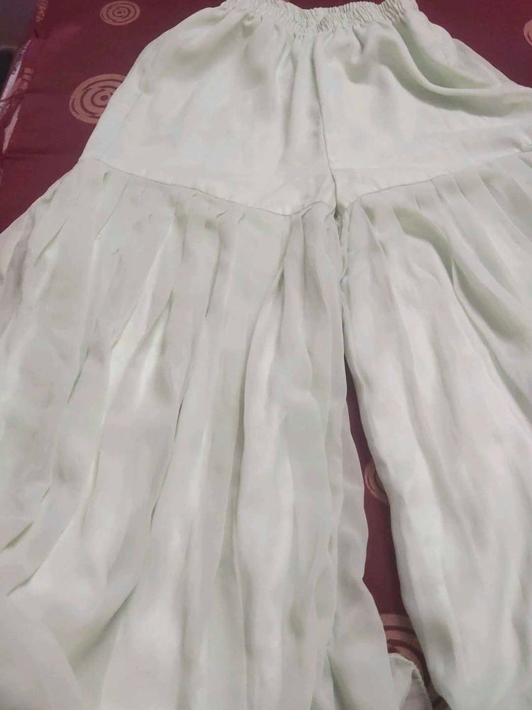 Beautiful Light Green Palazzo Pants