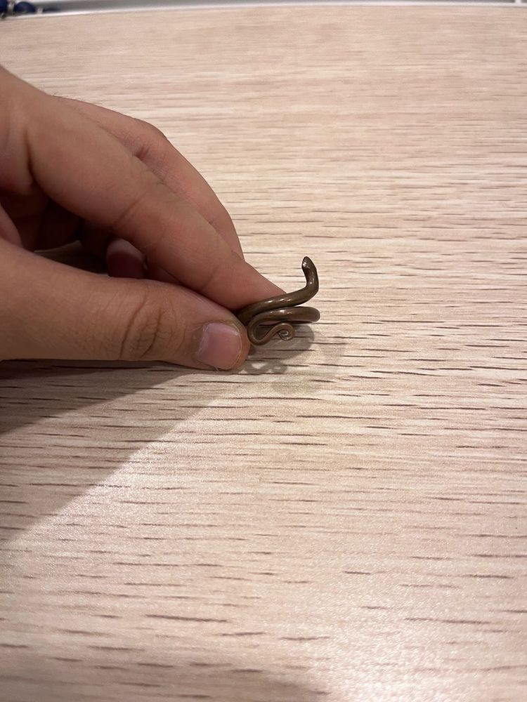 Unique Snake Ring