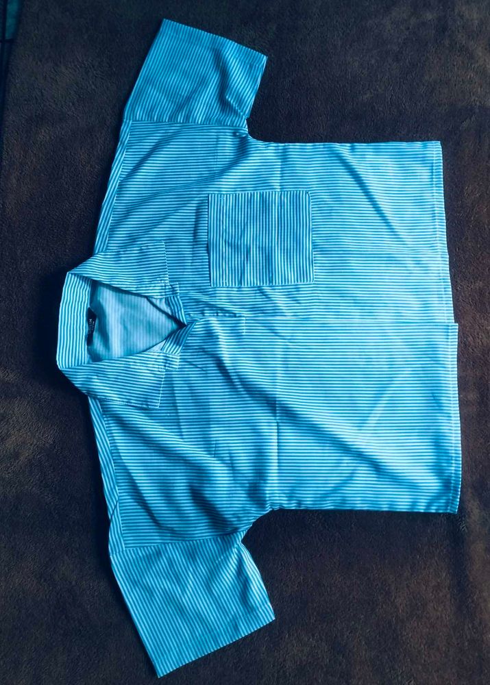 Blue Striped Shirt