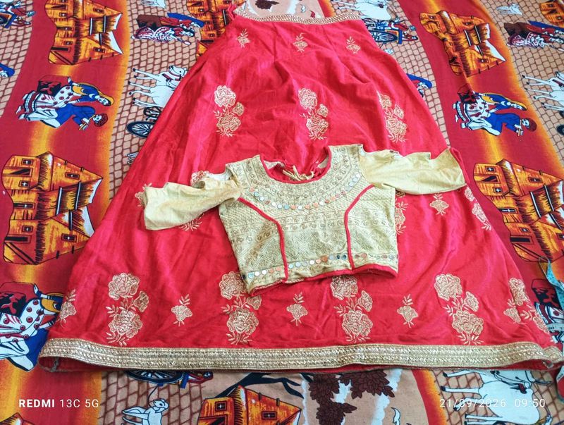 Lahanga wirh Mirror Work blouse