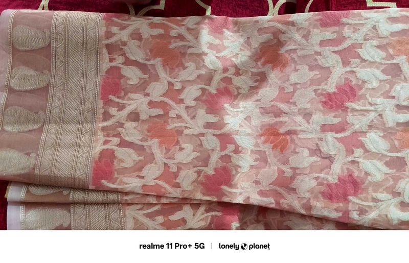 Peach Organza Brasso Saree