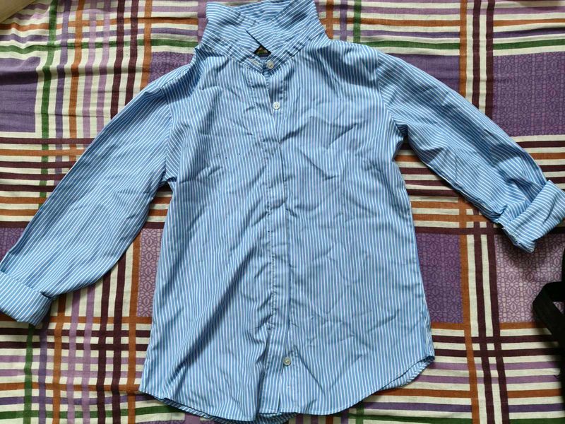 Blue Striped Button-Up Shirt